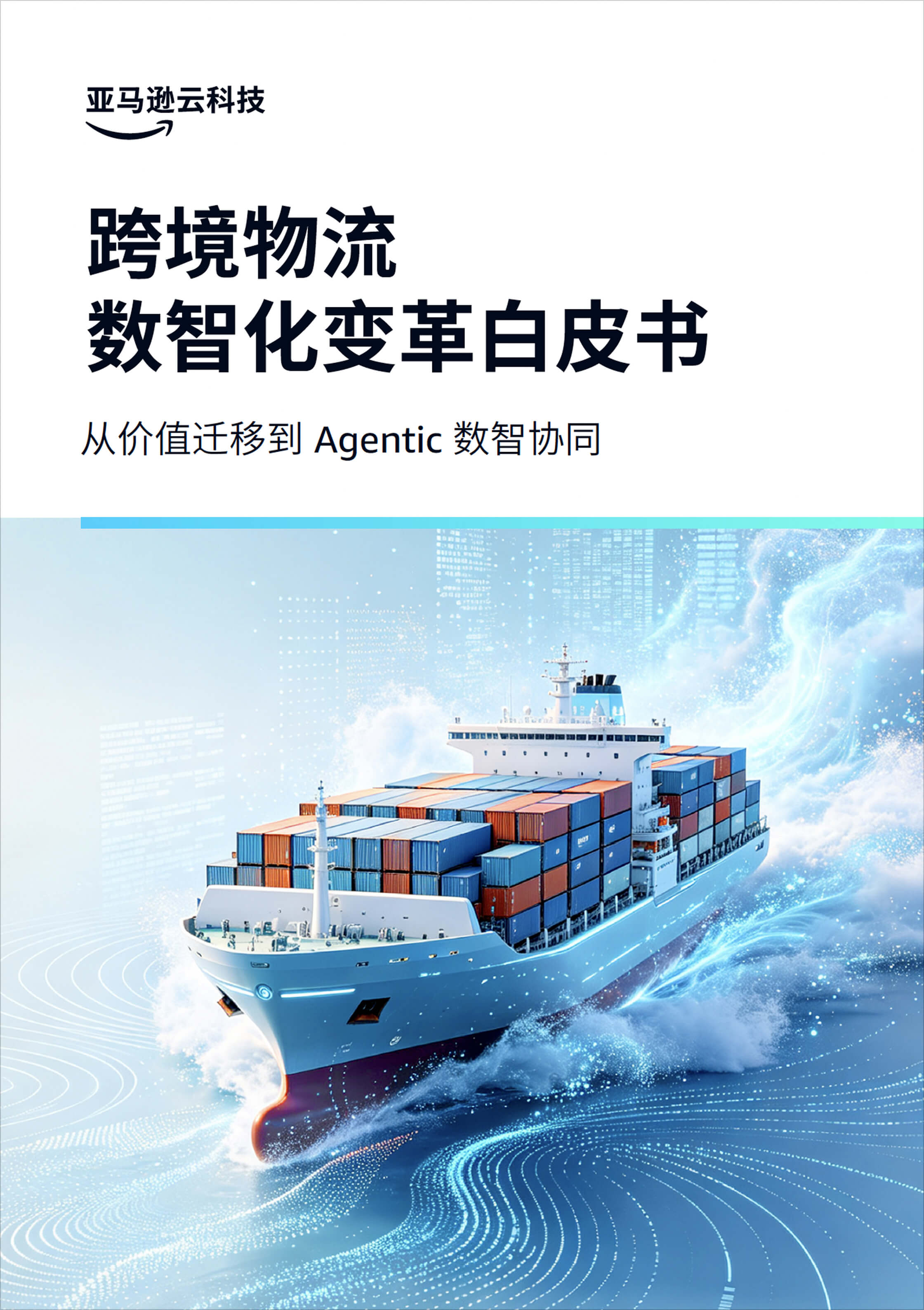 白皮书-1